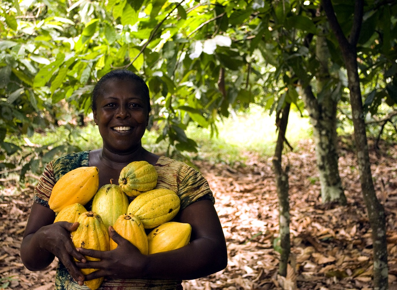 Qual a diferença de Ciências Agrárias e Agronomia?