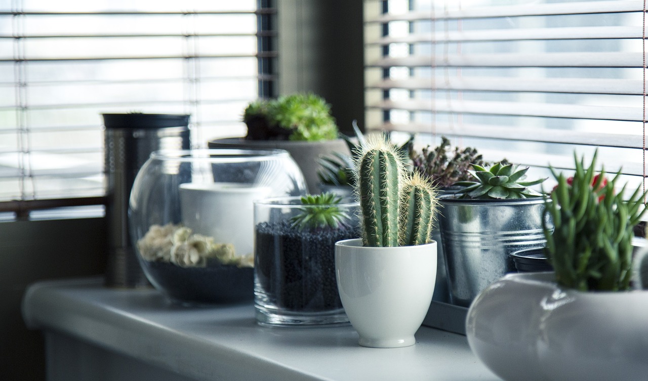 Quanto cobrar por um serviço de jardinagem? Quanto cobrar por um serviço de jardinagem?