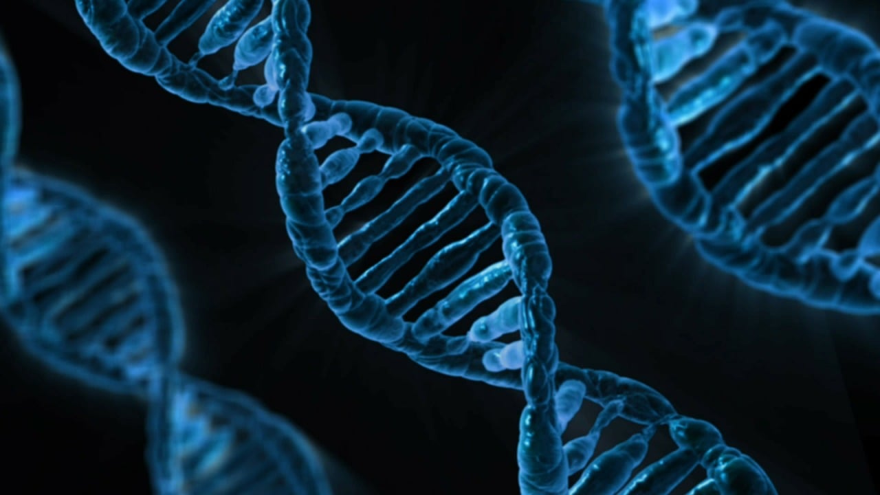 O que o biomédico faz na genética?