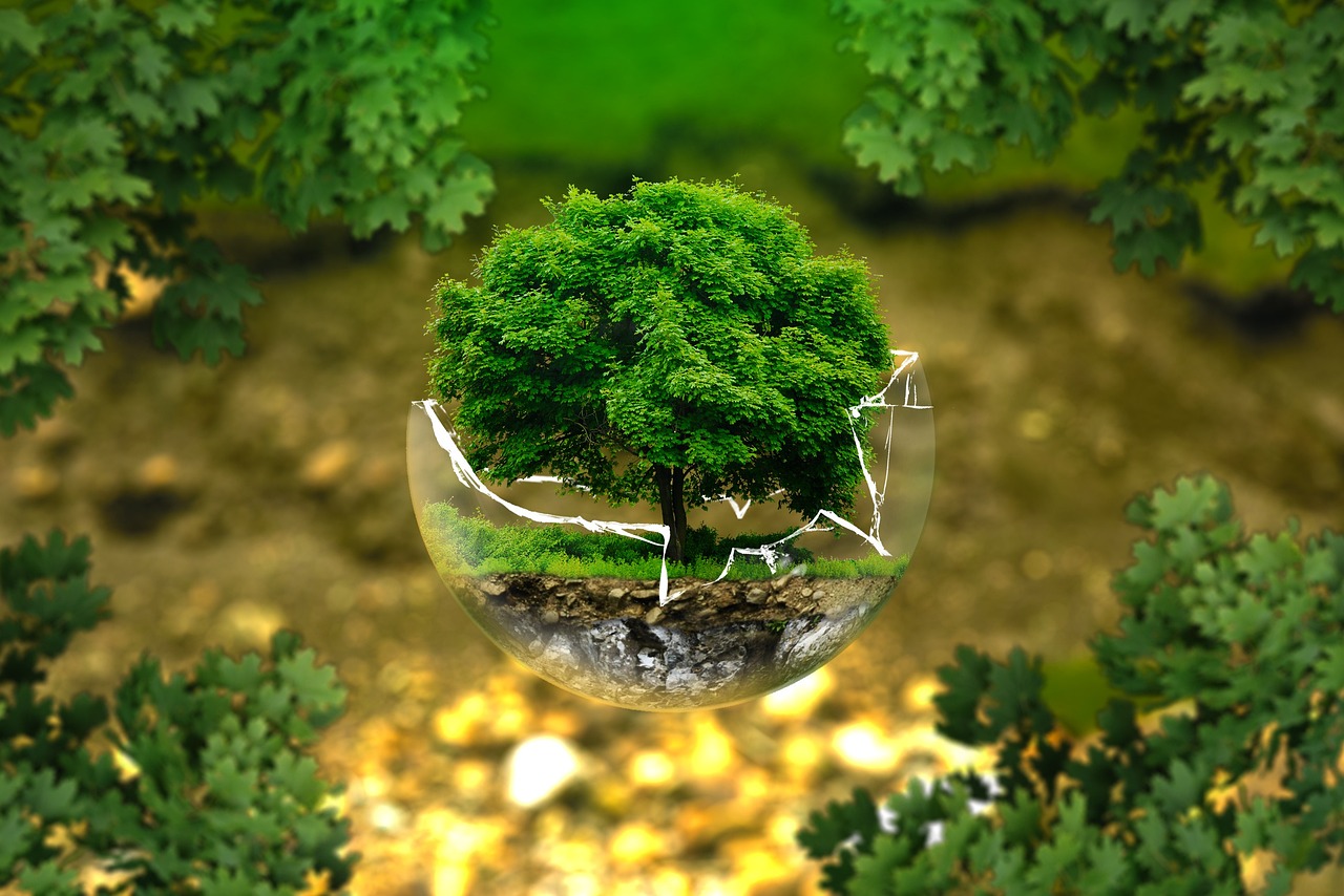 O que precisa para ser um consultor ambiental?