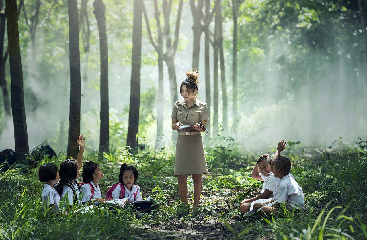 Qual é o ensino fundamental do 8º ano?