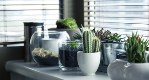 Como é o trabalho de jardinagem?