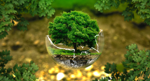 O que faz a consultoria ambiental?