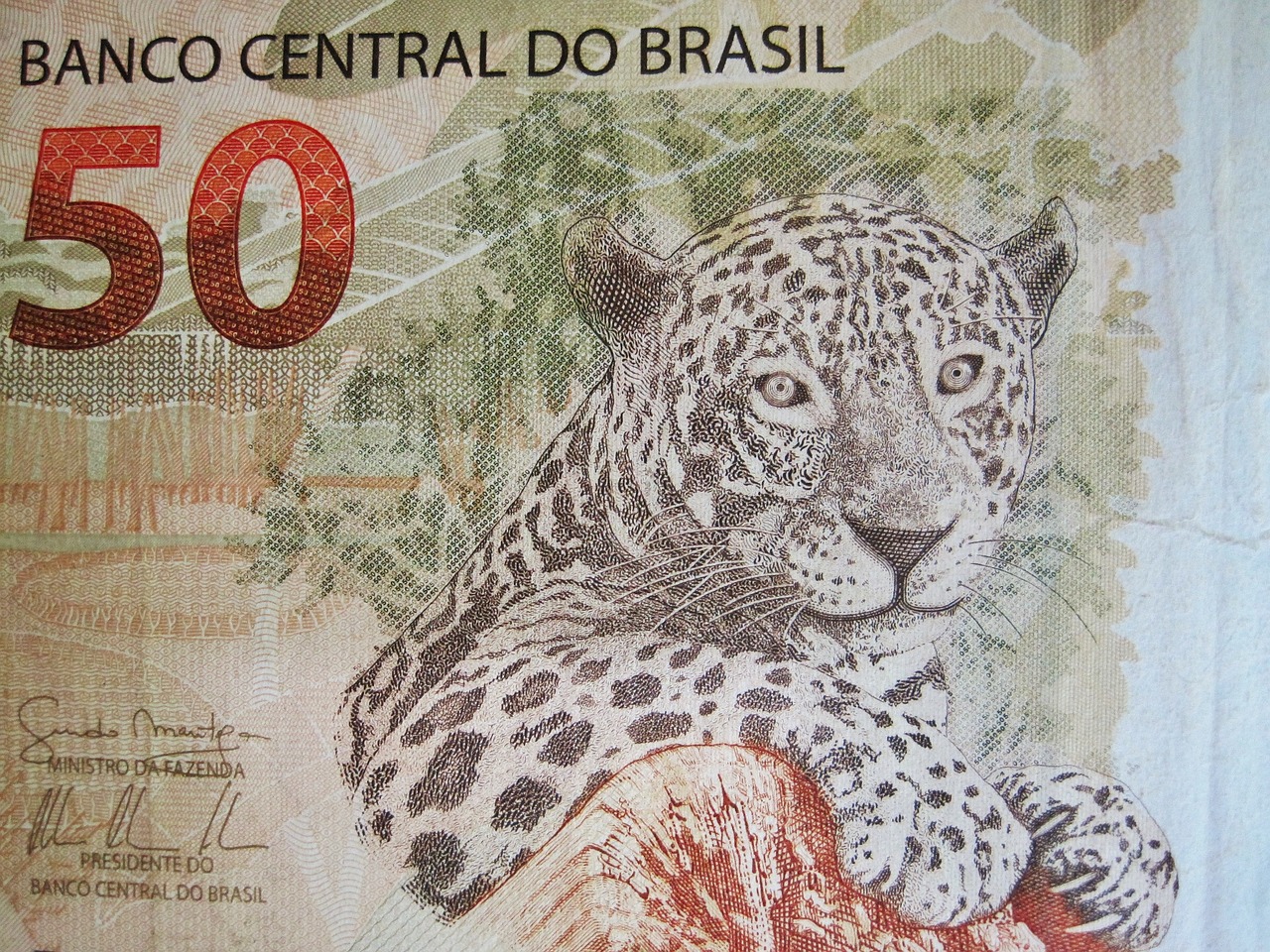 O que precisa para trabalhar no Banco do Brasil?