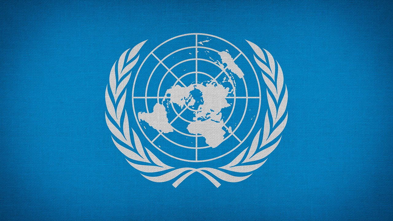 Quem faz relações internacionais pode trabalhar na ONU?